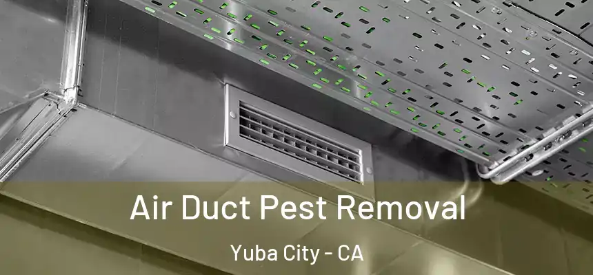 Air Duct Pest Removal Yuba City - CA