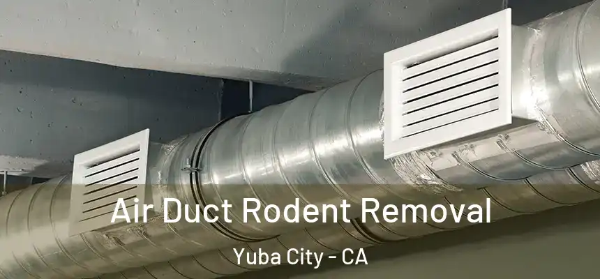 Air Duct Rodent Removal Yuba City - CA