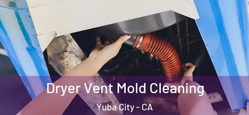 Dryer Vent Mold Cleaning Yuba City - CA