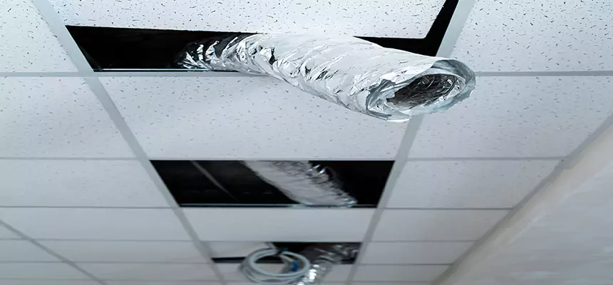 Affordable HVAC Sanitizing After Pest Removal in Yuba City