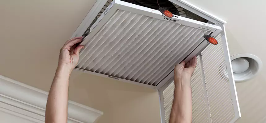 Our Insect Removal from Air Ducts Services in Yuba City, CA