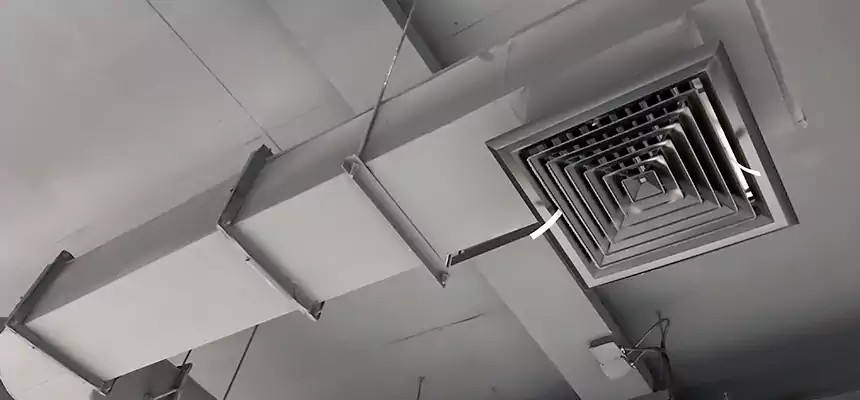 Our Pest Removal From Ducts Services in Yuba City, CA