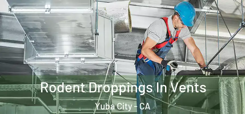  Rodent Droppings In Vents Yuba City - CA