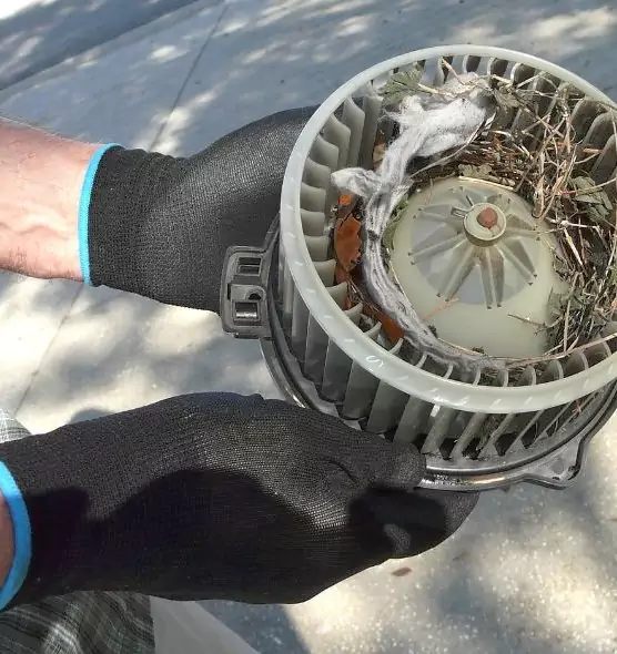 About Air Duct Mice Removal in Yuba City, CA