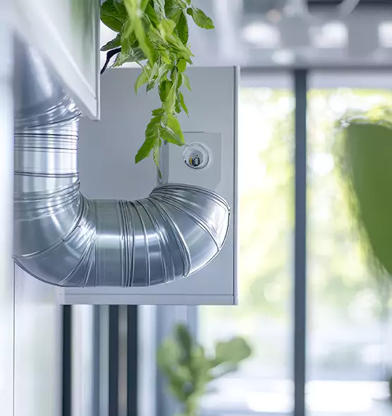 Professional Eco-Safe Dryer Vent Cleaning in Yuba City, CA