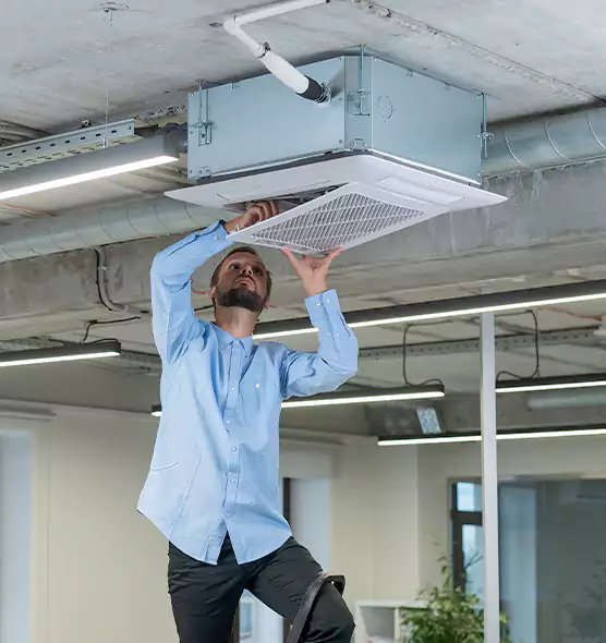 Advanced Rodent Droppings In Vents in Yuba City, CA