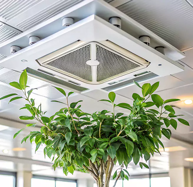 Why Homeowners & Businesses Trust Us in Yuba City, CA?